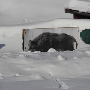 На Селигере прошли соревнования по охотничьему биатлону