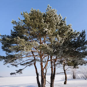 Про Селигер