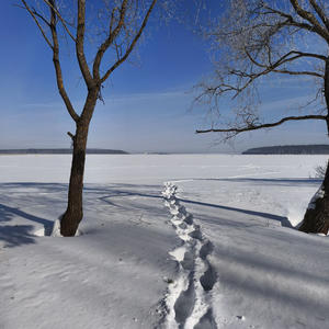 Про Селигер