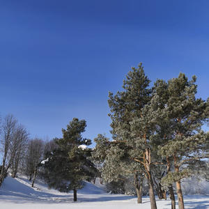 Про Селигер