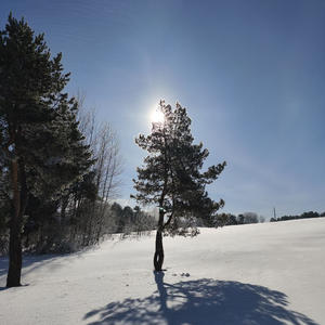 Про Селигер