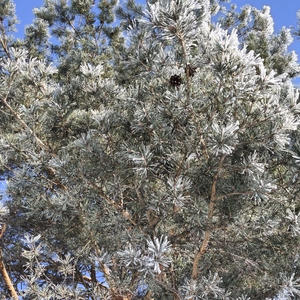 Про Селигер