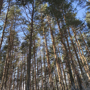 Про Селигер