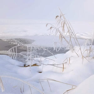 Хрустальная тишина зимнего берега