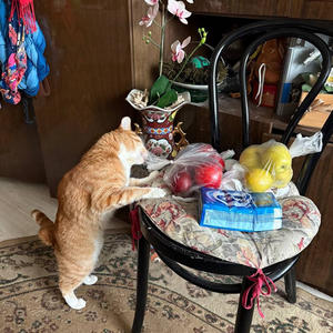 Братья меньшие