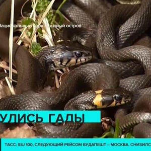 Всякое разное