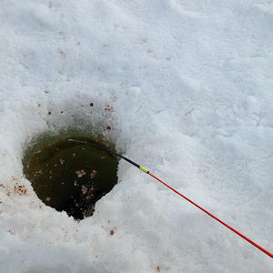 Про Селигер