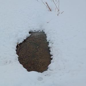 Про Селигер