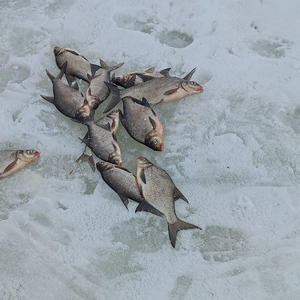 Про Селигер