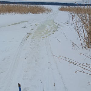 Про Селигер