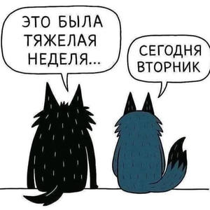 Пикейные жилеты