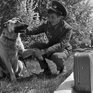 Всякое разное