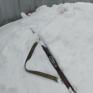 В Осташковском районе конфликт из-за долга закончился выстрелом из ружья