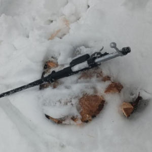 В Осташковском районе конфликт из-за долга закончился выстрелом из ружья