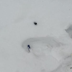 В Осташковском районе конфликт из-за долга закончился выстрелом из ружья