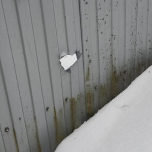 В Осташковском районе конфликт из-за долга закончился выстрелом из ружья