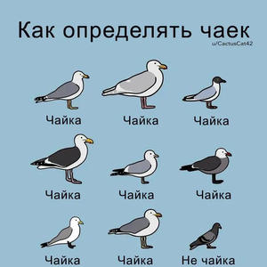 Всякое разное