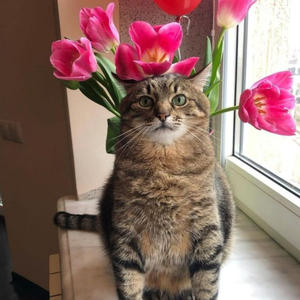 Всякое разное