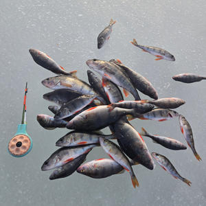 Улов на льду — как мозаика зимнего Селигера