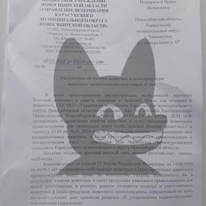 Всякое разное