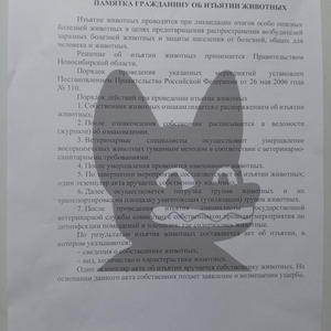 Всякое разное