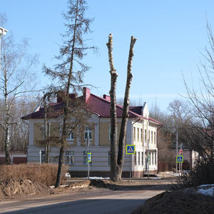 В Осташкове спилили 82 аварийных дерева на Рабочей и Ленинском проспекте