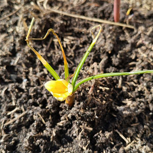 Про Селигер