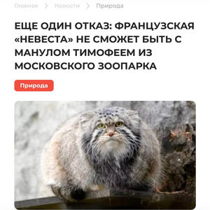 Братья меньшие