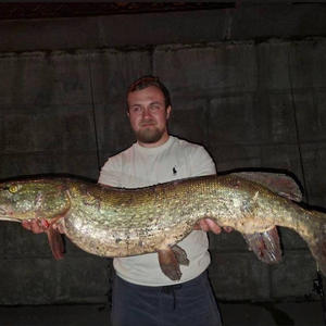 Всякое разное