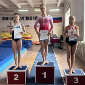 Осташковские гимнастки завоевали медали на чемпионате и первенстве Тверской области
