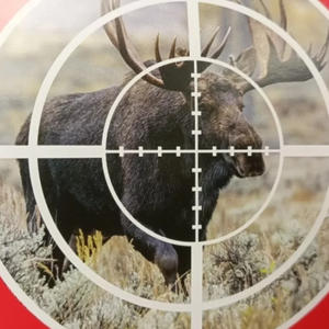 Весенняя охота‑2026: когда можно выйти в угодья в Осташковском, Пеновском и Селижаровском районах