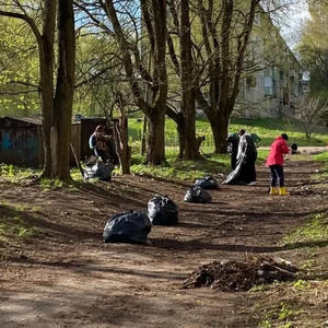 В Осташковском округе пройдёт месячник чистоты