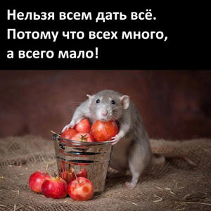 Всякое разное