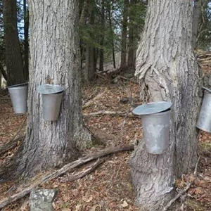 Путешествия