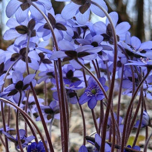 Про Селигер