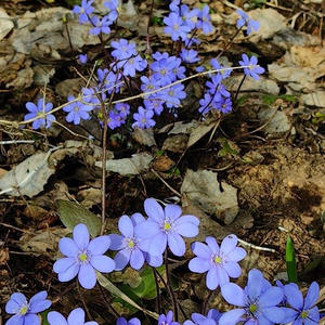 Про Селигер