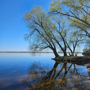 Ива смотрит в воду — вода смотрит в небо