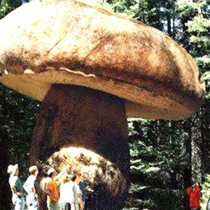 Всякое разное