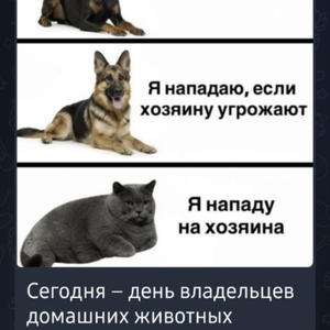 Братья меньшие