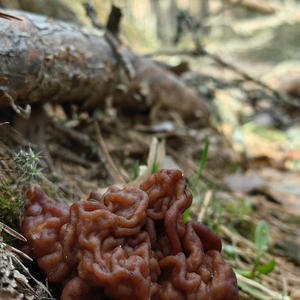 Про Селигер