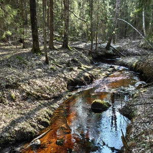 Про Селигер