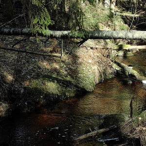 Про Селигер