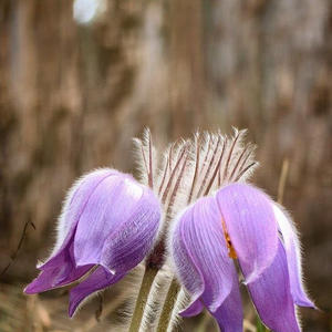 Про Селигер