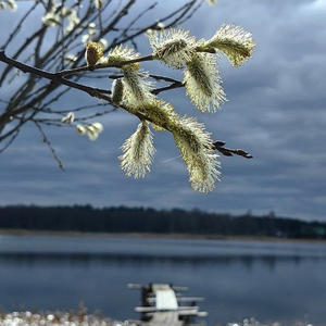 Про Селигер