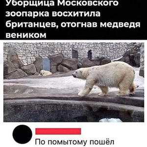 Братья меньшие