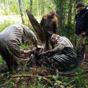 Поисковики Осташковского района подняли фрагменты бомбардировщика Ил-4