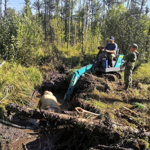 Поисковики Осташковского района подняли фрагменты бомбардировщика Ил-4