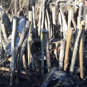 Поисковики Осташковского района подняли фрагменты бомбардировщика Ил-4