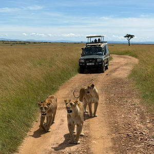 Братья меньшие