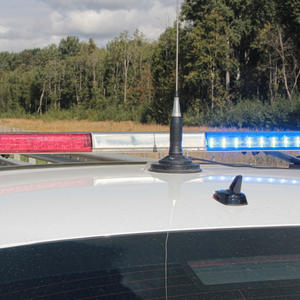 Под Селижаровом Ford Mustang вылетел в кювет: водитель погиб на месте